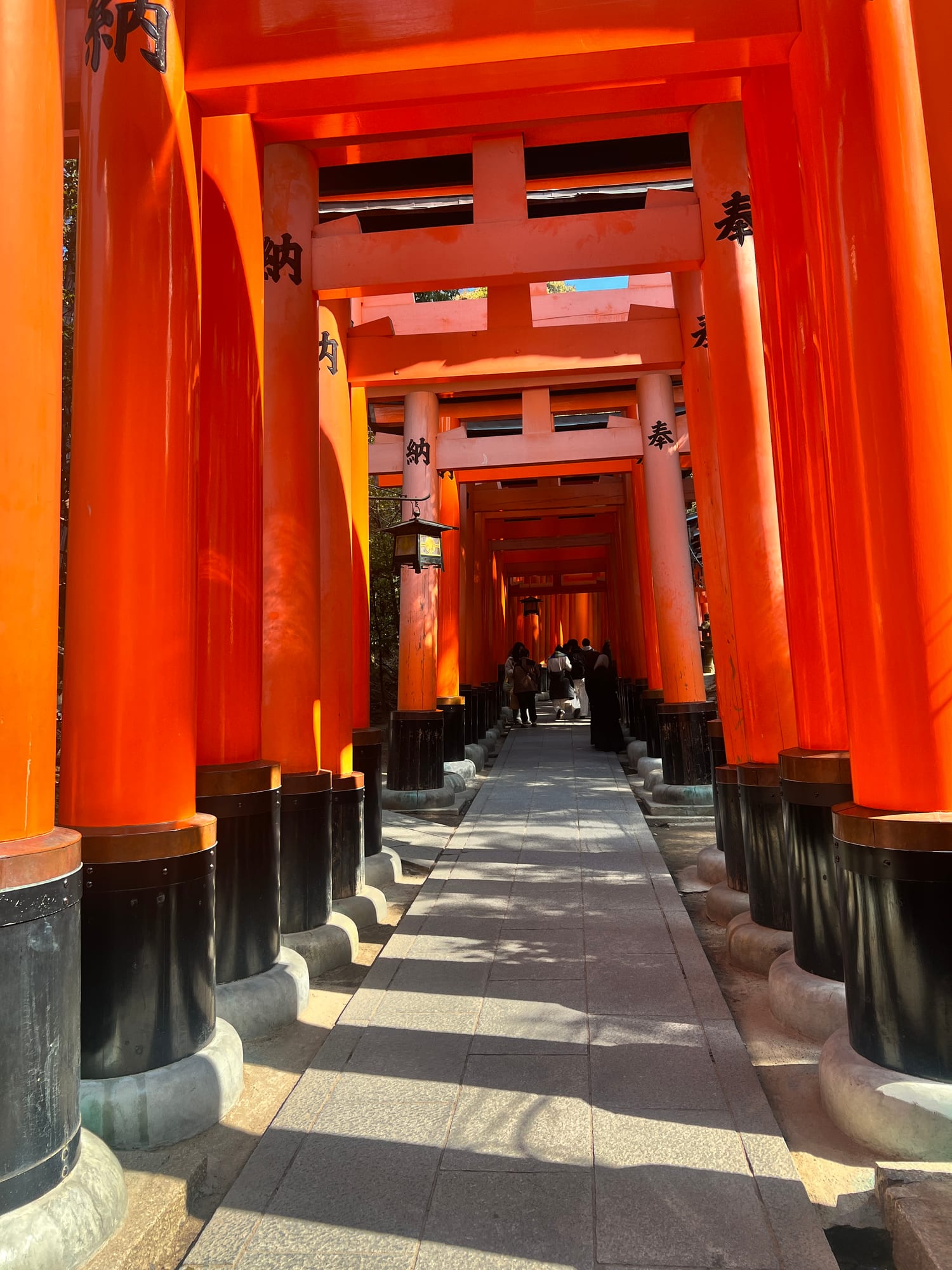 The torii gates at Fushimi Inari in Kyoto